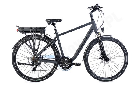 Leader Fox  Forenza Gent szary