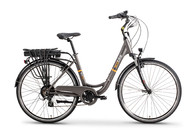 Ecobike City L Grey 28" 19 cali 350W