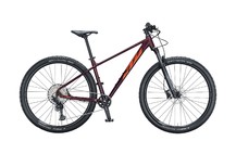 KTM ULTRA GLORIOUS 29