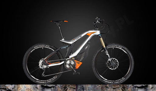 M1 Spitzing R-Pedelec