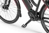 Ecobike RL trekkingowy rower elektryczny dla kobiet 6