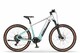 Ecobike Core Arctic Fade 1008 Wh