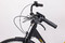 EcoBike Basic NEXUS black 15