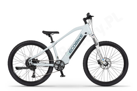 Ecobike SX Youth white
