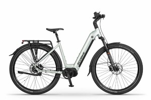 Ecobike LX 400 Arctic Silver 17" 900Wh