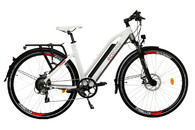 Ecobike Ui5 Trekking L