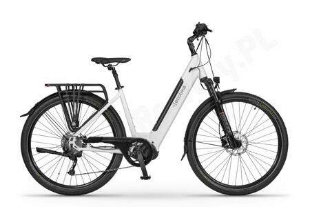 Ecobike LX 300 17"