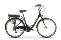 EcoBike Basic 250W