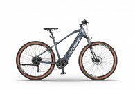 Ecobike SX 300 Cool Gray