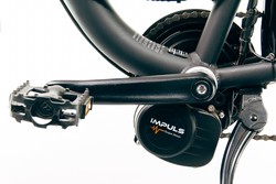 silnik elektryczny Centralny Impuls 250W