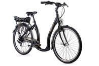 Leader Fox Holland Czarny