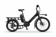Ecobike Cargo