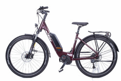 Rower elektryczny unisex rama jednorurowa