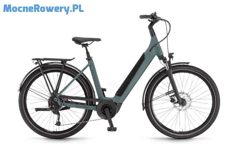 Winora Sinus 9 wave dg