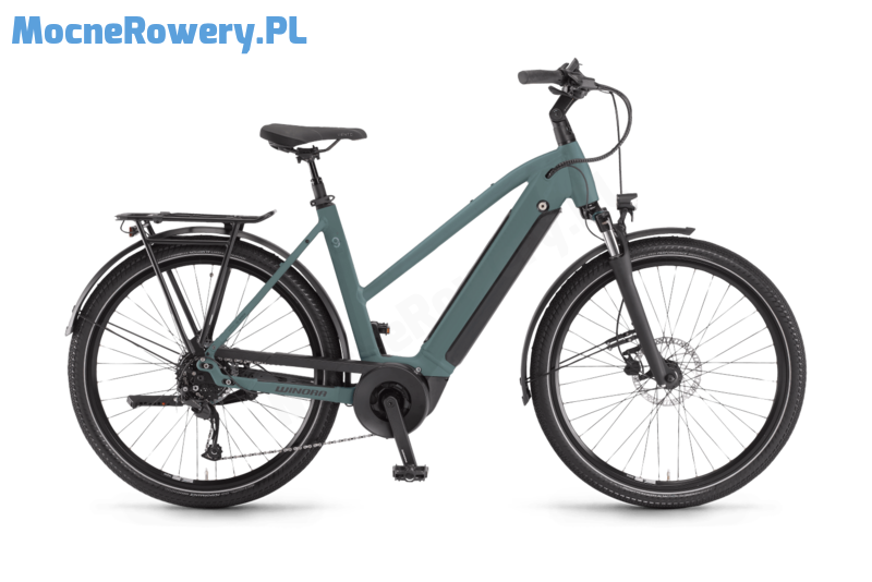 Winora Sinus 9 DA dg